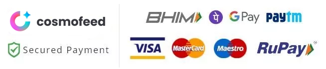 Accepted secure payment methods